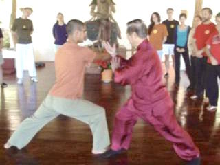 Taijiquan combat application