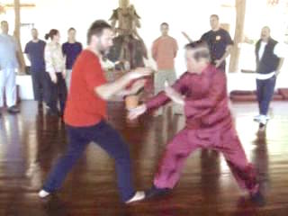 Wahnam Taijiquan