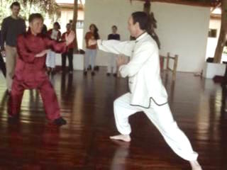 Wahnam Taijiquan