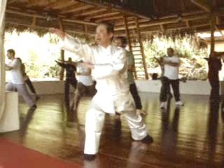 Wahnam Taijiquan