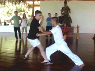 Wahnam Taijiquan