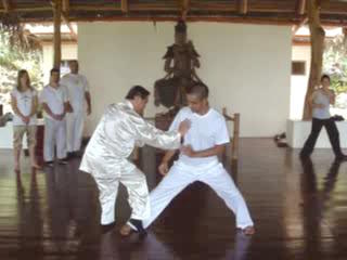 Wahnam Taijiquan