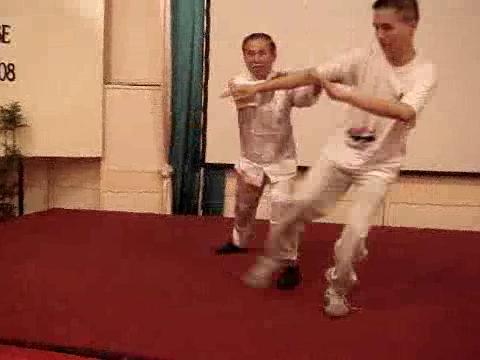 Wahnam Taijiquan Tai Chi Chuan