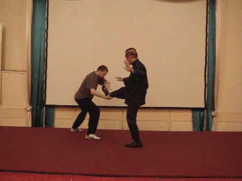 Wahnam Taijiquan Tai Chi Chuan