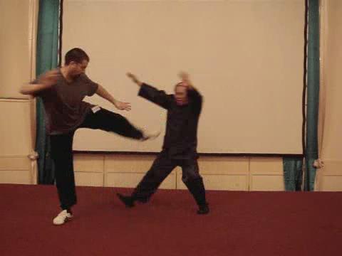 Wahnam Taijiquan Tai Chi Chuan