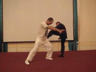 Wahnam Taijiquan Tai Chi Chuan