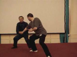 Wahnam Taijiquan Tai Chi Chuan