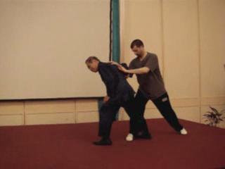 Wahnam Taijiquan Tai Chi Chuan