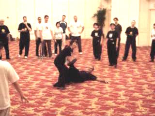 Wahnam Taijiquan, Tai Chi Chuan