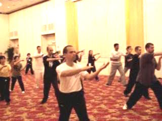 Wahnam Taijiquan Tai Chi Chuan