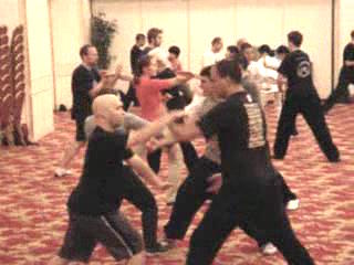 Wahnam Taijiquan, Tai Chi Chuan