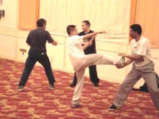 Wahnam Taijiquan, Tai Chi Chuan