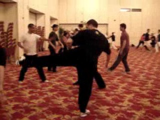 Wahnam Taijiquan, Tai Chi Chuan