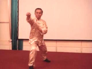 Wahnam Taijiquan, Tai Chi Chuan