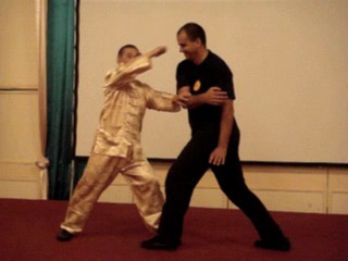 Wahnam Taijiquan, Tai Chi Chuan