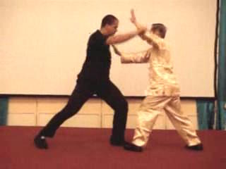 Wahnam Taijiquan