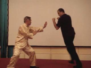 Wahnam Taijiquan, Tai Chi Chuan