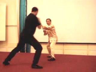 Taijiquan