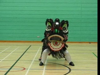 Lion Dance