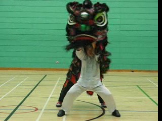 Lion Dance