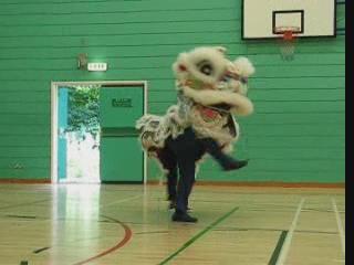 Lion Dance