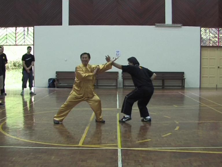 Shaolin 16 Combat Sequences