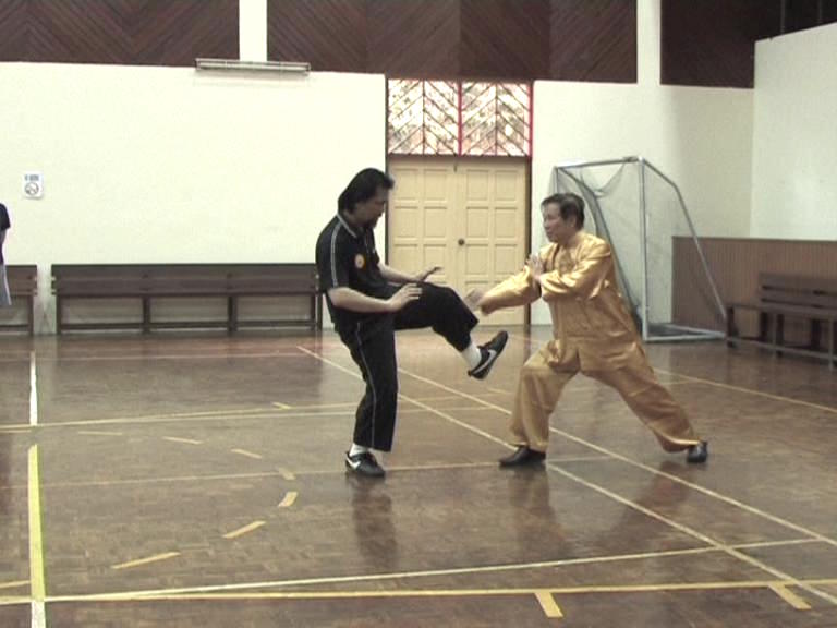 Shaolin Kung Fu