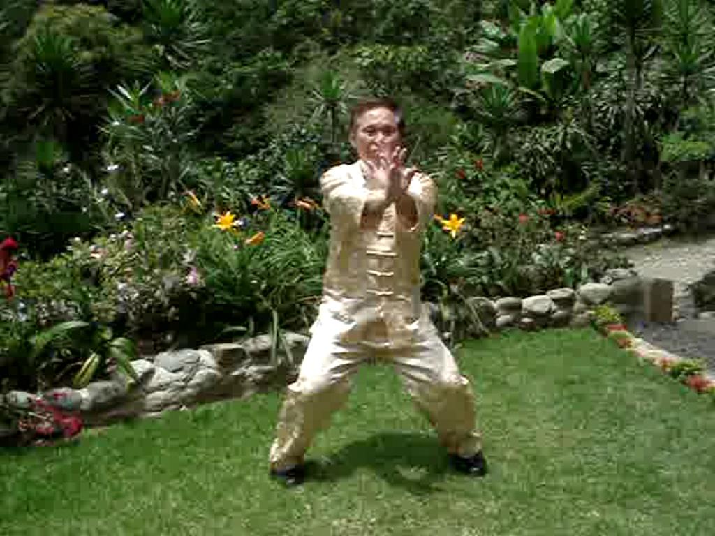 Wing Chun Siu Lin Tou
