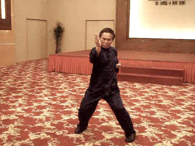 Wing Choon Kungfu