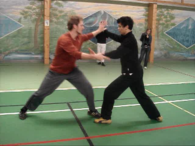 Kungfu Sparring