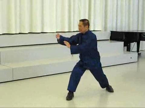 Shaolin Taijiquan