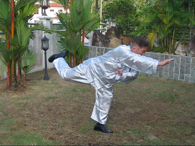 Shaolin 72 Chin-Na Techniques