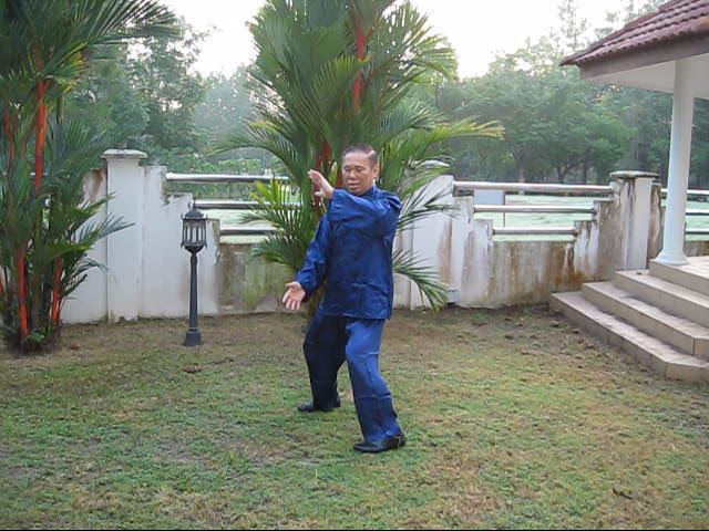 Wudang Taijiquan