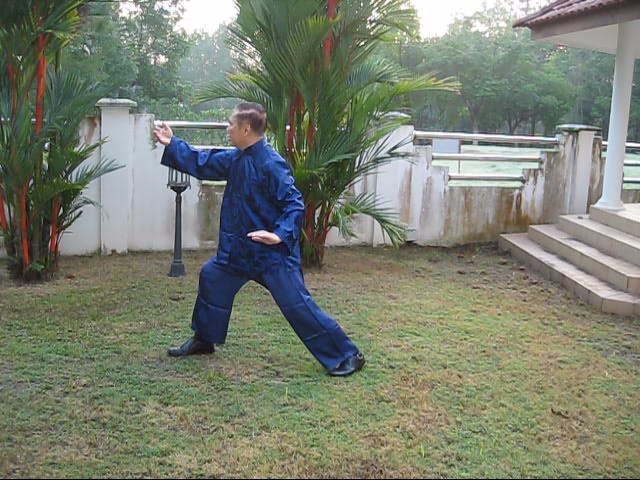 Wudang Tai Chi Chuan