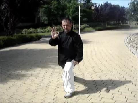 Simplified Taijiquan