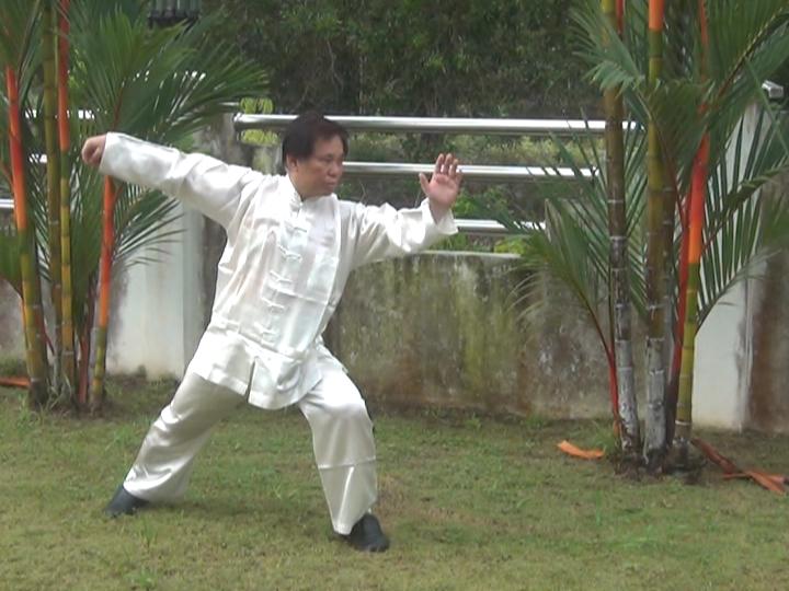 Yang Style Taijiquan, Tai Chi Chuan