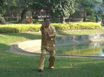 Baguazhang, Pakua chang