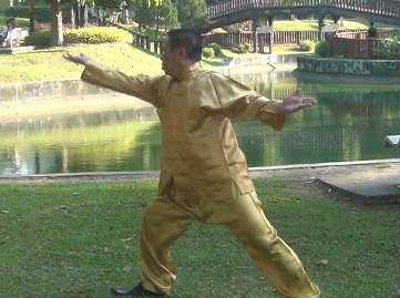 Swimming Dragon Baguazhang Set