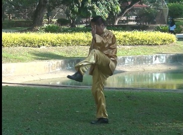 Baguazhang, Pakua chang