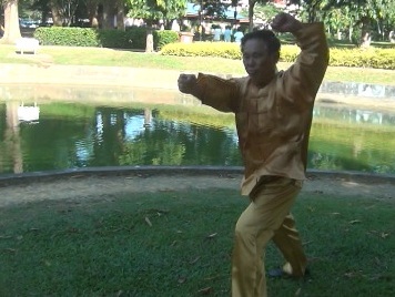 Xingyiquan, Hsing Yij Kungfu