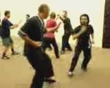 kungfu free sparring