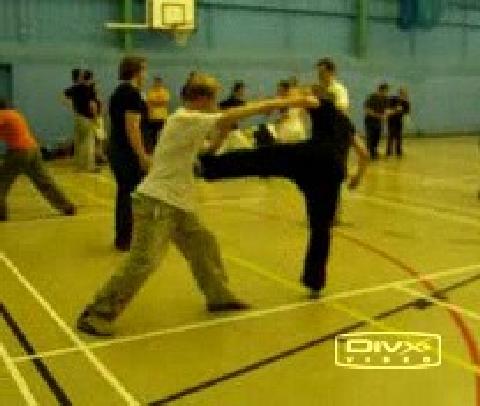 Shaolin Wahnam sparring methodolgy