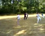 Taijiquan Kicks