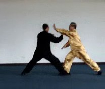 Taijiquan