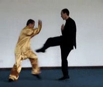 Taijiquan Kicks