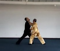 Taijiquan Counters against Strikes