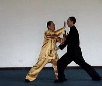 Taijiquan Coverage