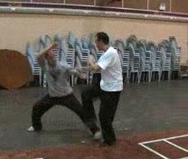Free Sparring using Shaolin Kungfu