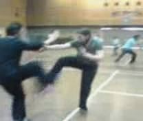 Free Sparring using Shaolin Kungfu