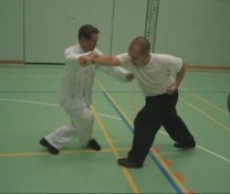 combat application of Xiao Hung Quan